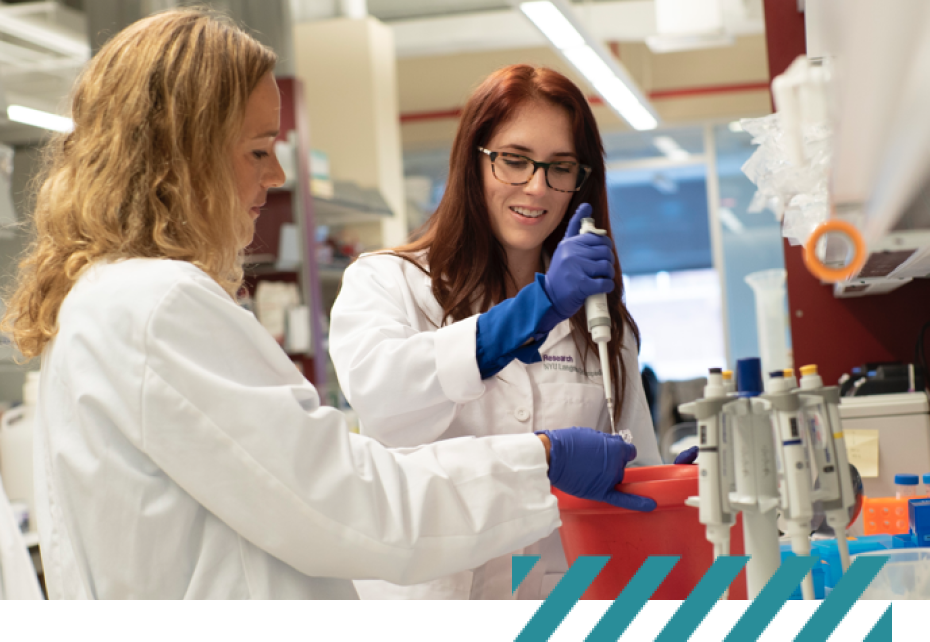 biomedical students working together in lab in lab coats