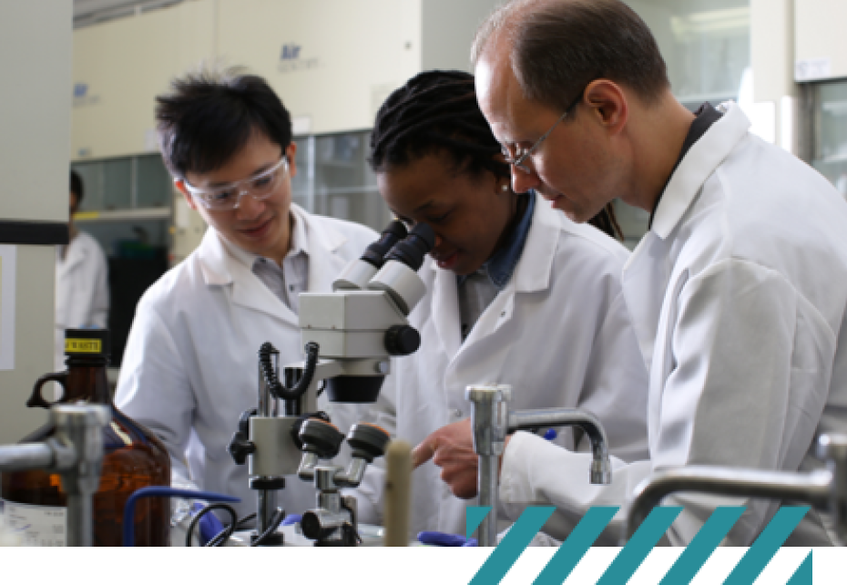 biotechnology students working together in lab in lab coats